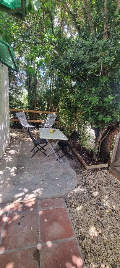 Studio En Camargue Arles Bagian luar foto